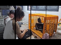 Fabriek voor schoenen op maat